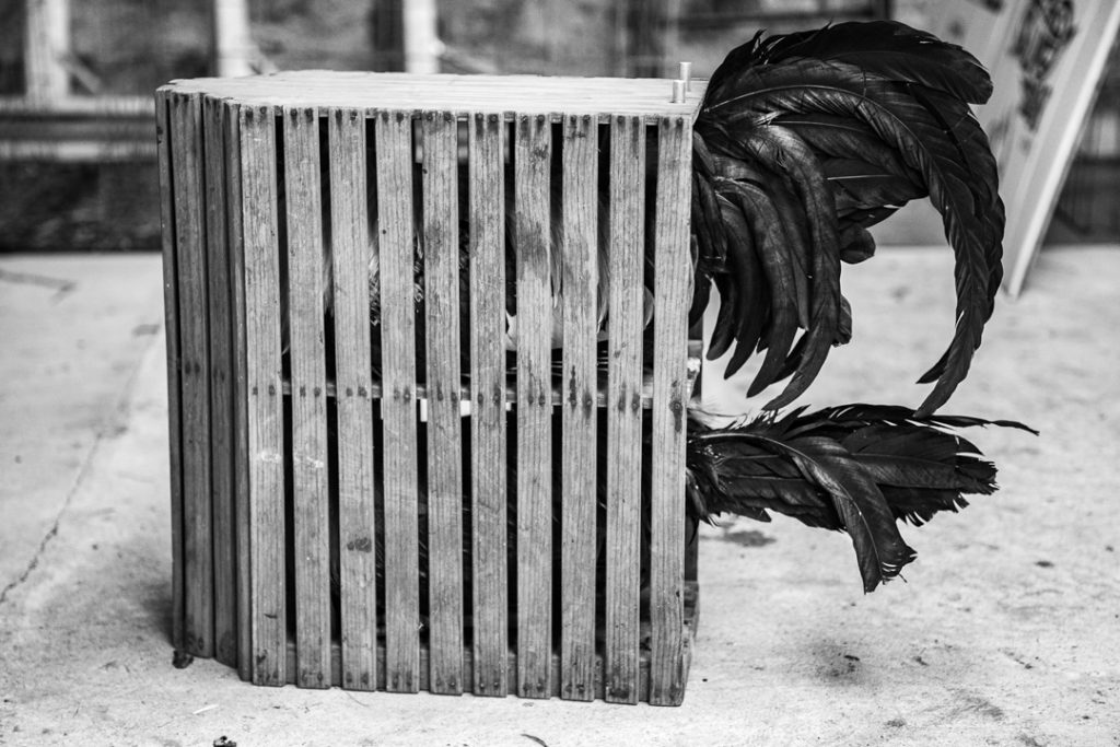 Jaula de madera con dos gallos atrapados. Sobresalen las plumas de la cola de cada animal