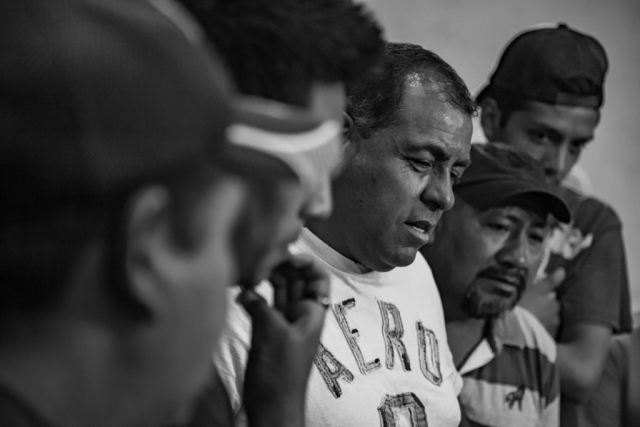 un grupo de hombres mira con atención una pelea de gallos
