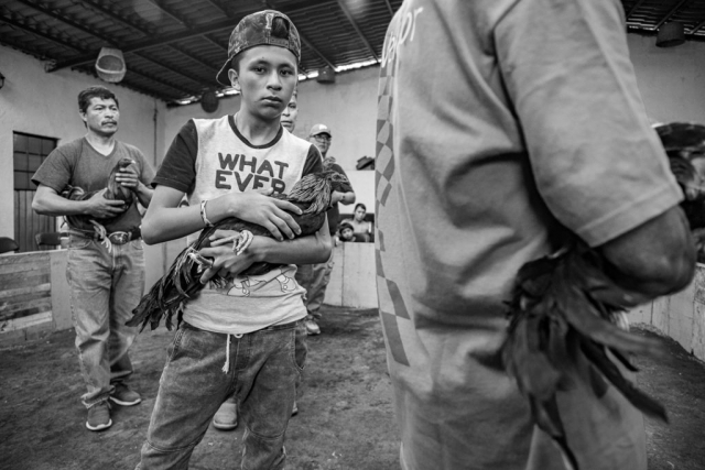 hombres de diversas edades sostienen en sus brazos a sus gallos de pelea previo a una noche de palenque