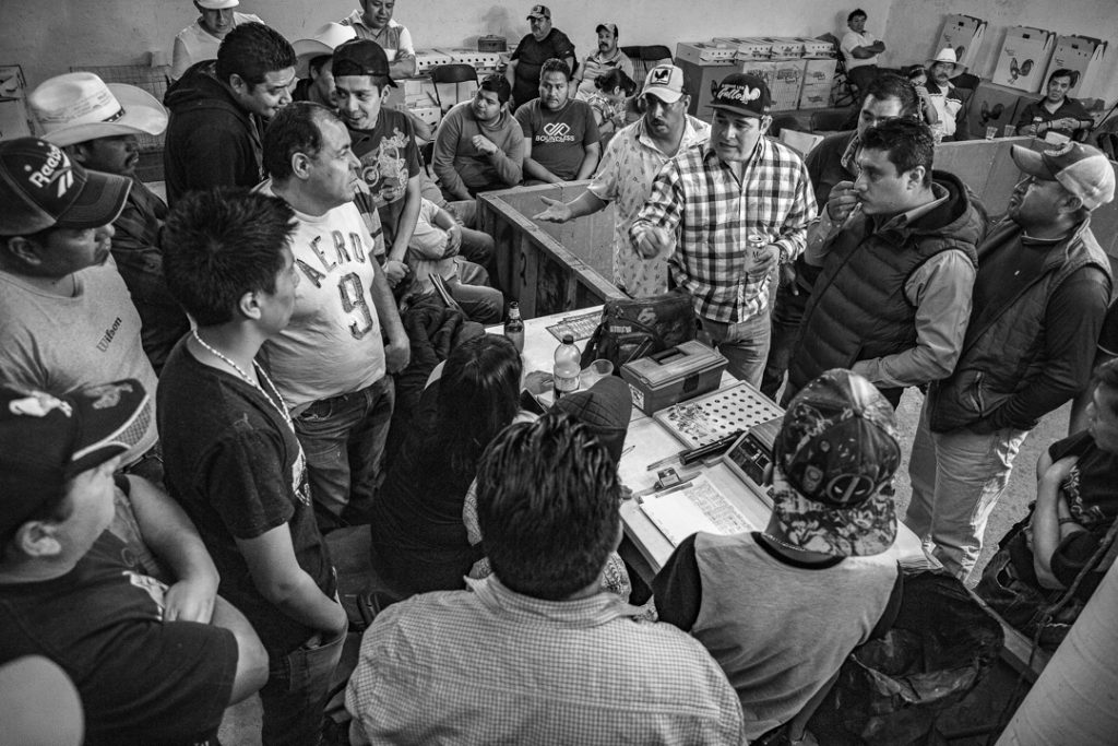 Hombres se ponen de acuerdo acerca de como deben celebrarse las peleas esa misma tarde