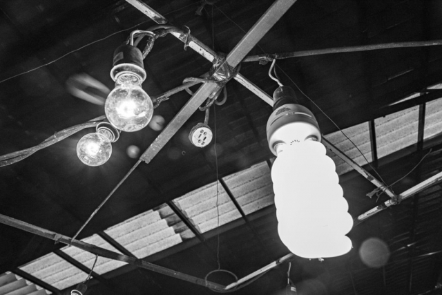 conjunto de bombillos para alumbrar el ruedo de las peleas de gallos